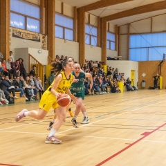 ESSJ_P1186556-8