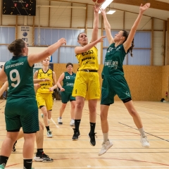 ESSJ_P1186591-28