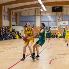 ESSJ_P1186592-29