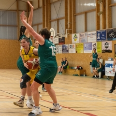 ESSJ_P1186594-30