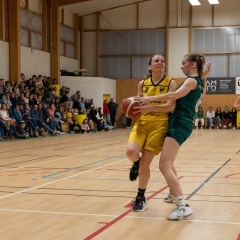 ESSJ_P1186614-41