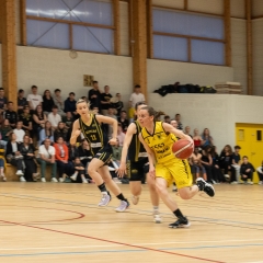 ESSJ_P1186842-44