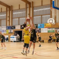 ESSJ_P1186858-54