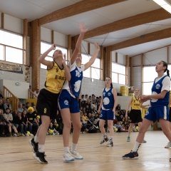 ESSJ_P1291184-11