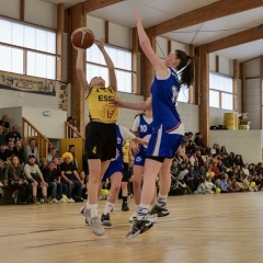 ESSJ_P1291190-15