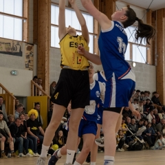 ESSJ_P1291191-16