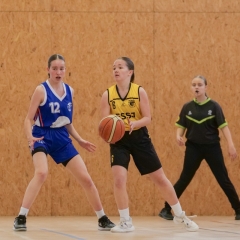 ESSJ_P1291274-55