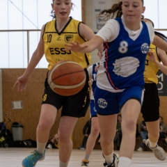ESSJ_P1291286-62