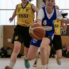 ESSJ_P1291287-63