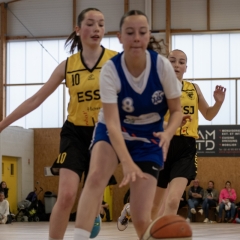 ESSJ_P1291288-64