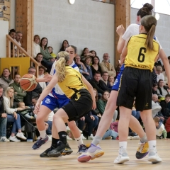 ESSJ_P1291303-68