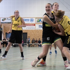 ESSJ_P1302074-Avec-accentuation-Bruit-111