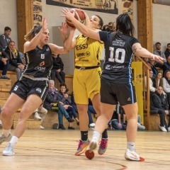 ESSJ_P1394222-Avec-accentuation-Bruit-11