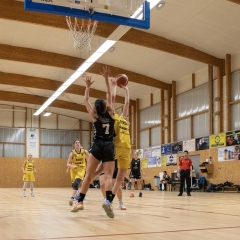 ESSJ_P1394391-61