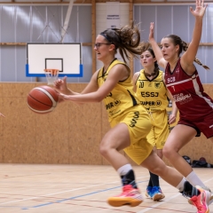 ESSJ_P1393858-Avec-accentuation-Bruit-60