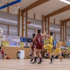 ESSJ_P1393872-66