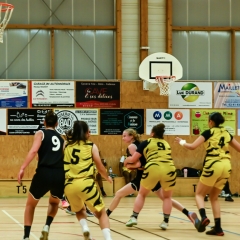 basket-11