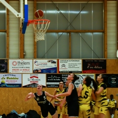 basket-12