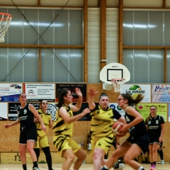 basket-14