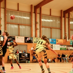 basket-15