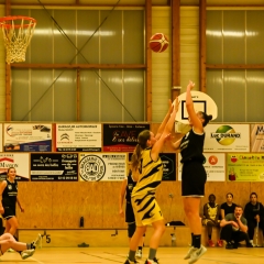 basket-16