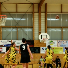 basket-17