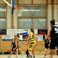 basket-18
