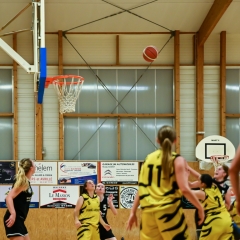 basket-19