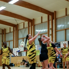 basket-2