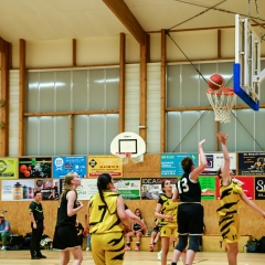 basket-7