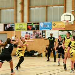 basket-8
