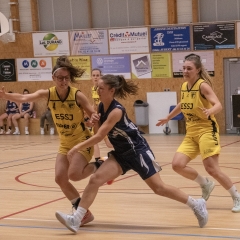 ESSJ_P1395124-79