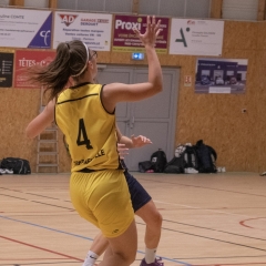 ESSJ_P1395133-80