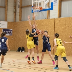 ESSJ_P1395164-84