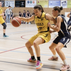 ESSJ_P1395174-Avec-accentuation-Bruit-85