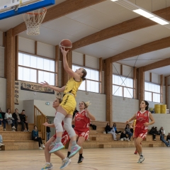 ESSJ_P1393121-Avec-accentuation-Bruit-12