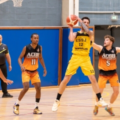 24052025-P1432878-Avec-accentuation-Bruit