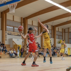 ESSJ_P1391557-Avec-accentuation-Bruit-3