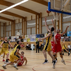 ESSJ_P1391697-Avec-accentuation-Bruit-56