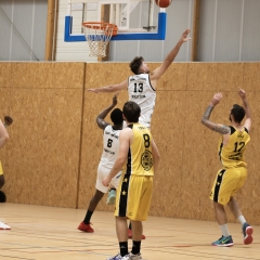 ESSJ_P1394611-Avec-accentuation-Bruit-7