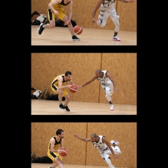 ESSJ_TRYPTIQUE-Sylvain