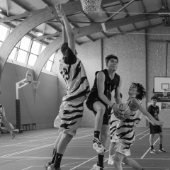 ESSJ_27042025-P1431807-Avec-accentuation-Bruit