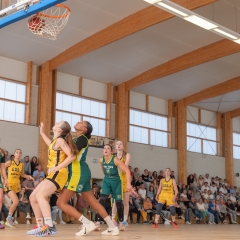 ESSJ_19042026-PANA4801