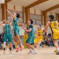ESSJ_28032026-PANA3987