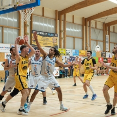 ESSJ_294