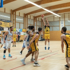 ESSJ_295