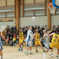 ESSJ_300