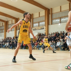 ESSJ_306