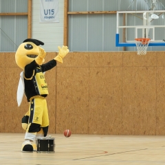 ESSJ_319